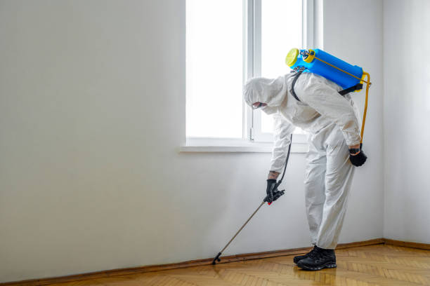 Best Ant Control Services  in Sharpes, FL