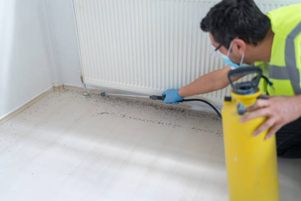 Best Residential Pest Control  in Sharpes, FL