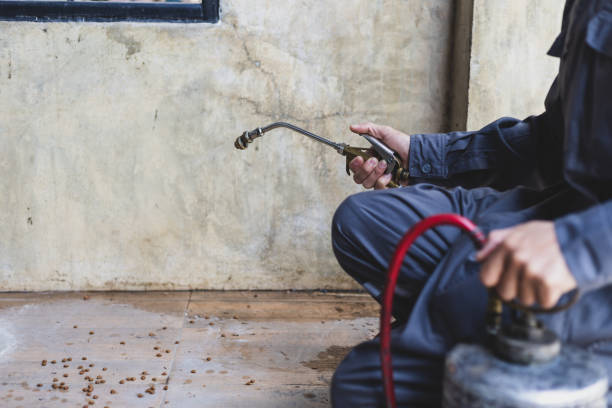 Best Pest Removal Services  in Sharpes, FL